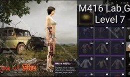 特效枪最新爆料m4,特效枪全新爆料，性能与颜值双提升